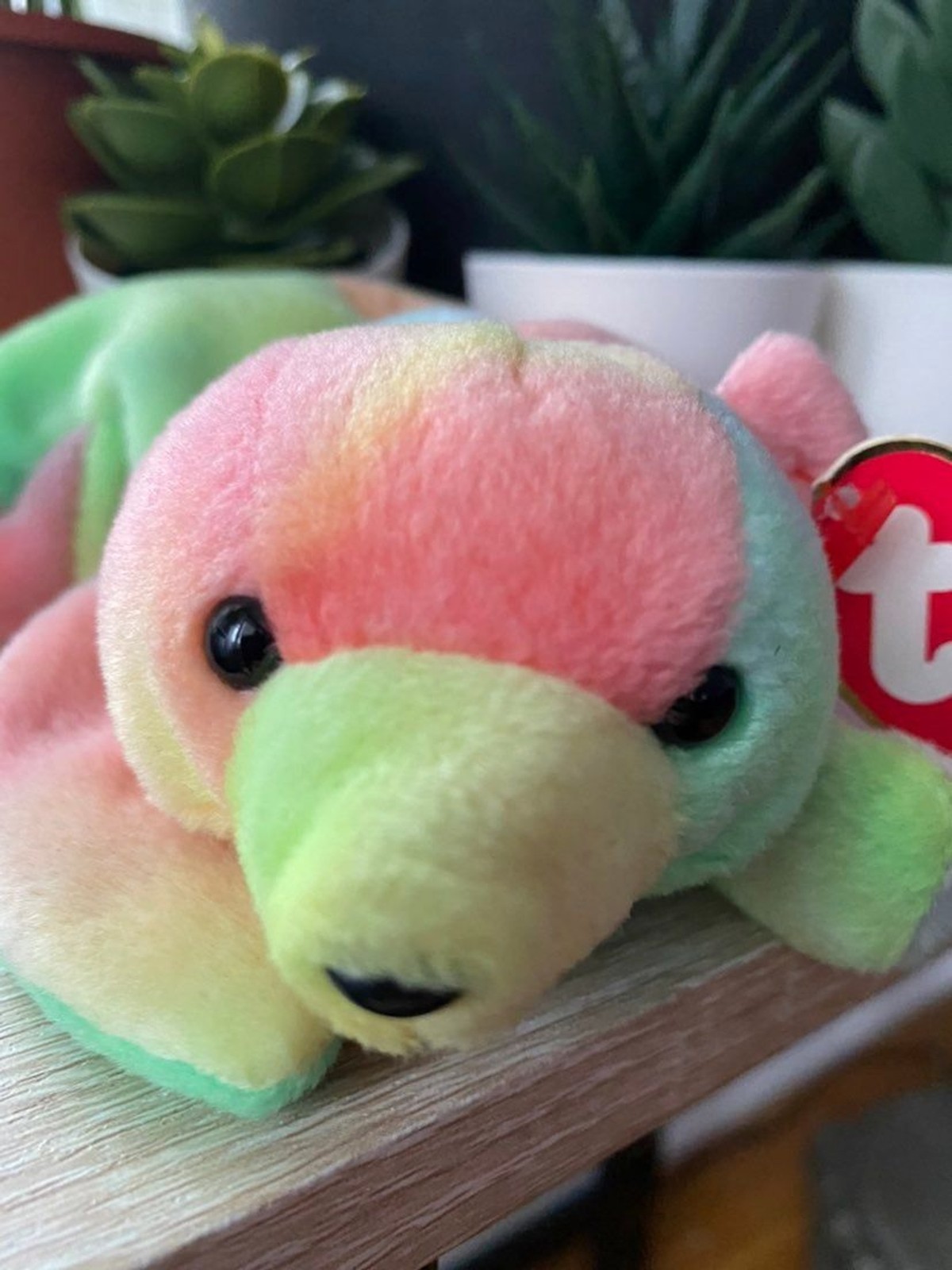 Ty Beanie Babies 