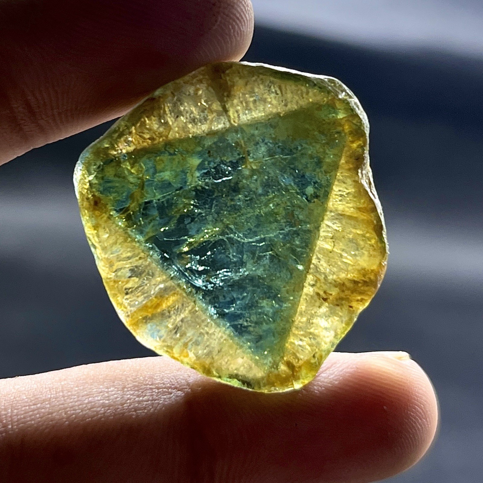 Rare 47 Ct Liddicoatite Tourmaline Slice | Natural Tri Color Tourmaline Crystal