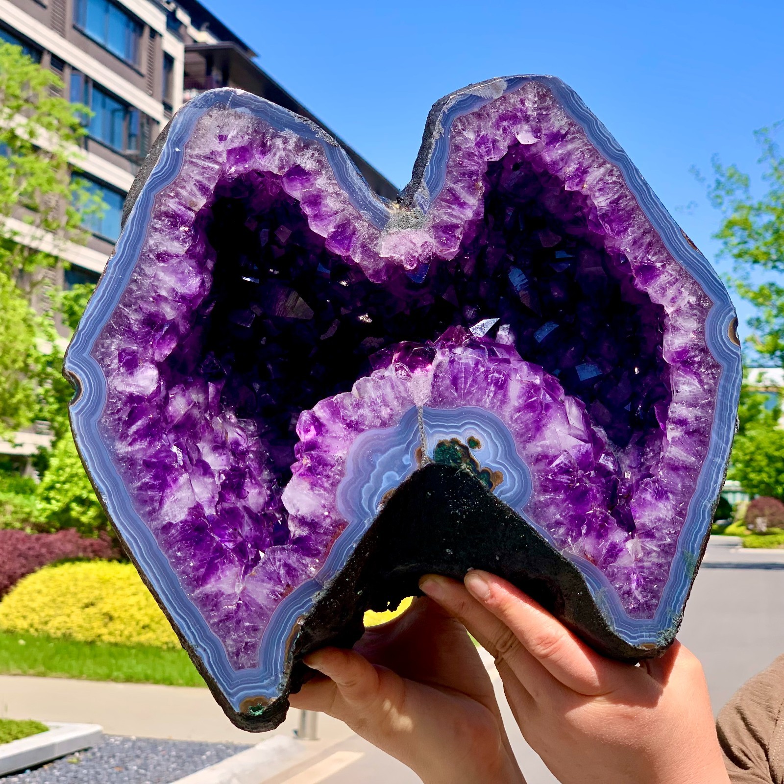 19.8LB Natural Amethyst geode quartz cluster crystal specimen Healing