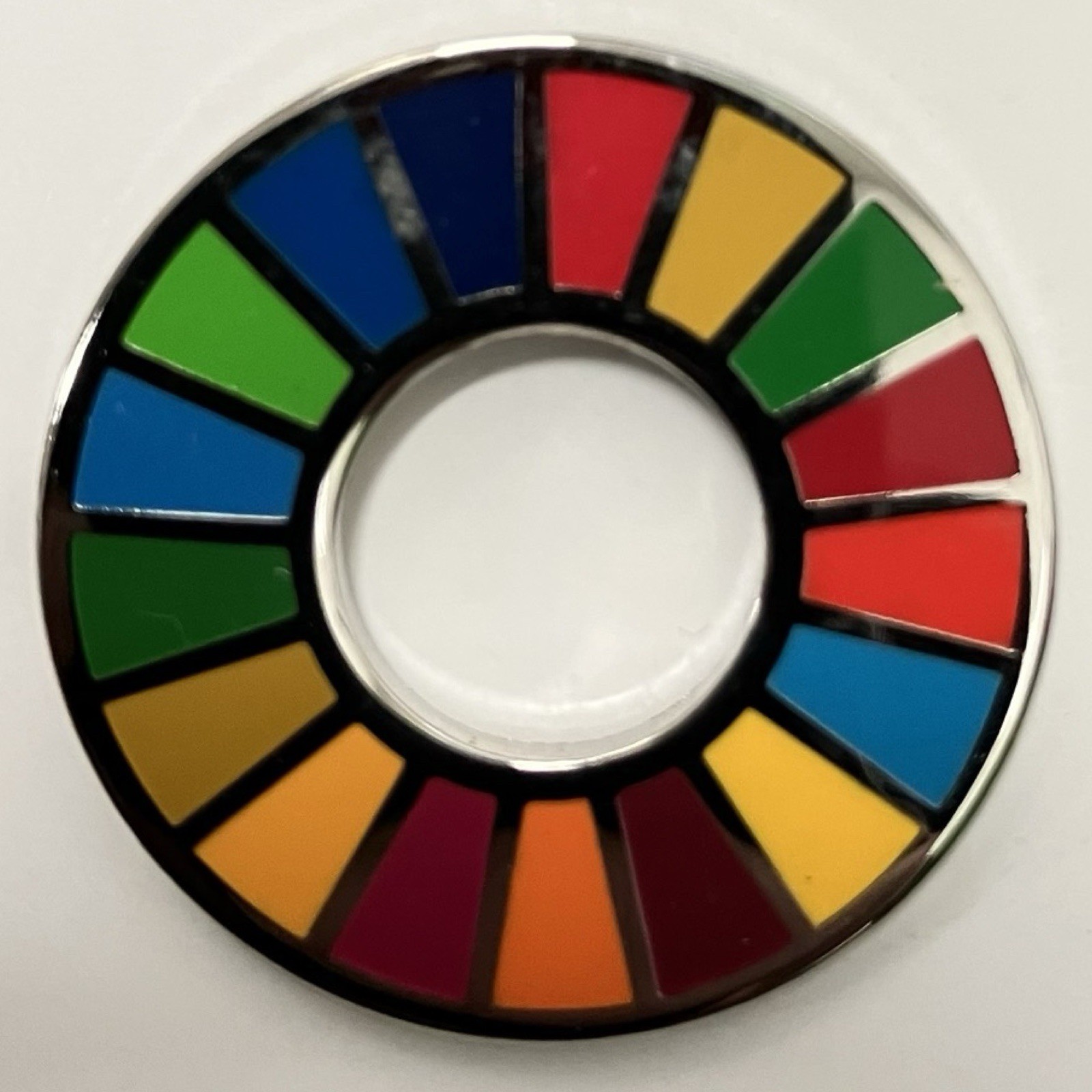 Vtg UN United Nations Sustainable Development Goals SDG Silver Tone Lapel Pin