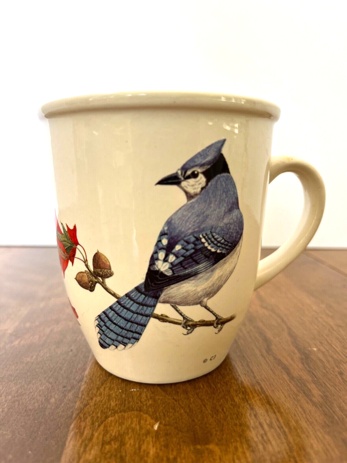 CJ WILDLIFE Collectible Blue Jay Bird Coffee Mug Tea Cup Acorns