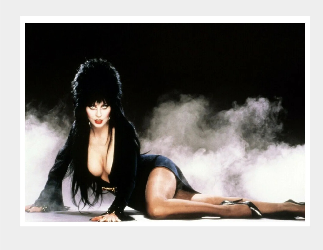 Elvira Mistress of the Dark Sexy Halloween Scream Queen Photo Poster 24x36