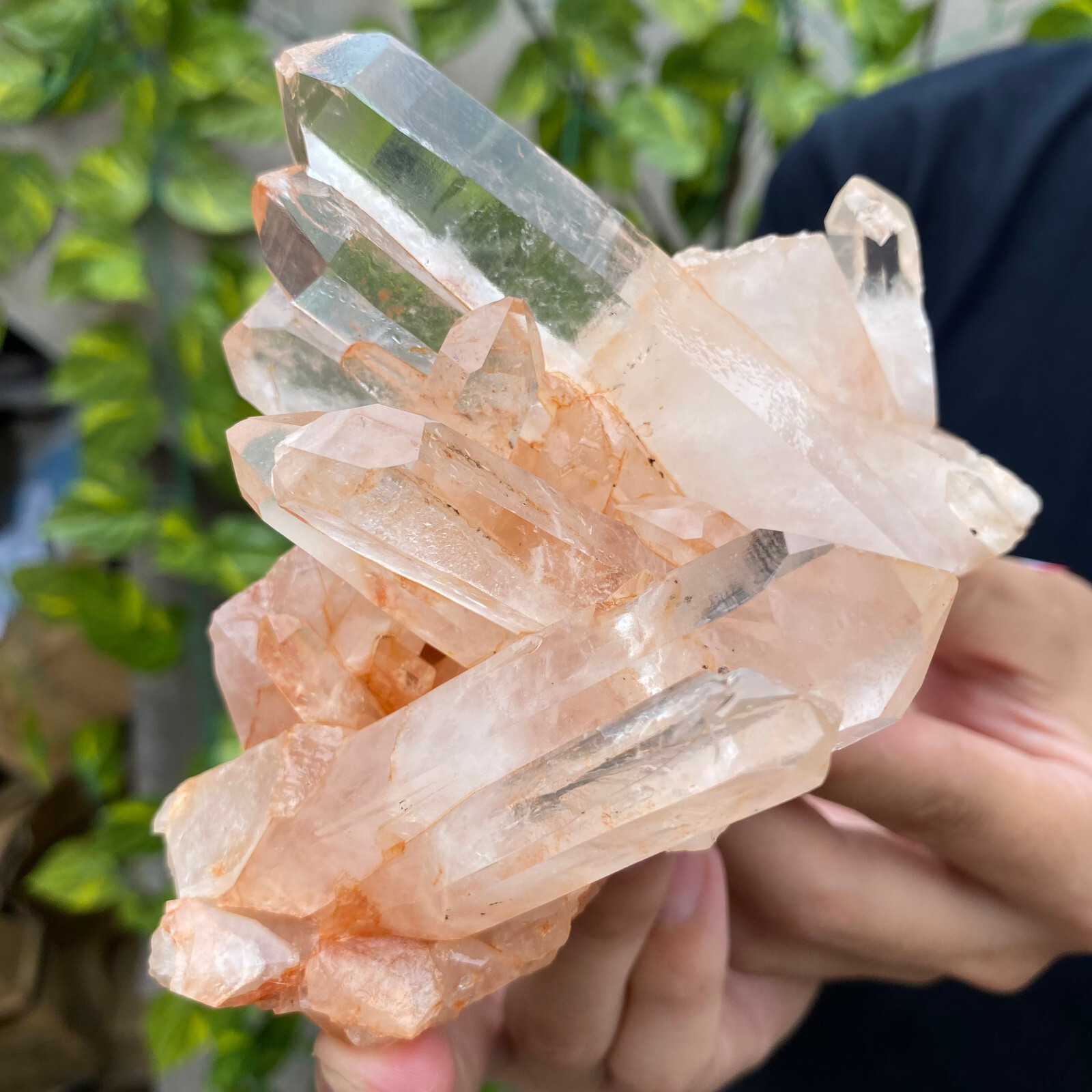1.3lb Large Natural Clear White Quartz Crystal Cluster Rough Healing Specimen