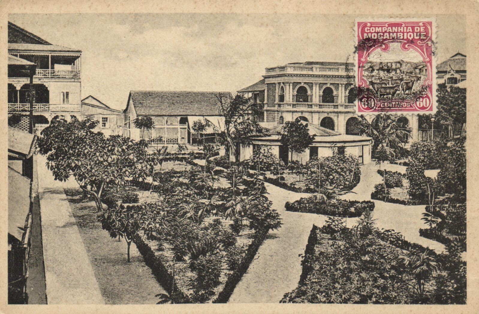 PC MOZAMBIQUE PORTUGUESE COLONY AFRICA BEIRA PUBLIC GARDENS, Vintage Pc (b54339)