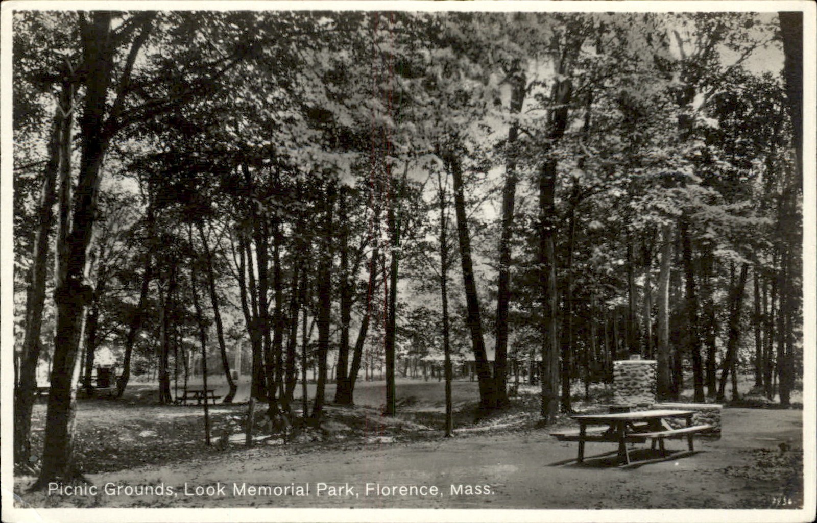 Florence MA Picnic Grounds Scott Photo c1930s-40s Real Photo Vintage Postcard