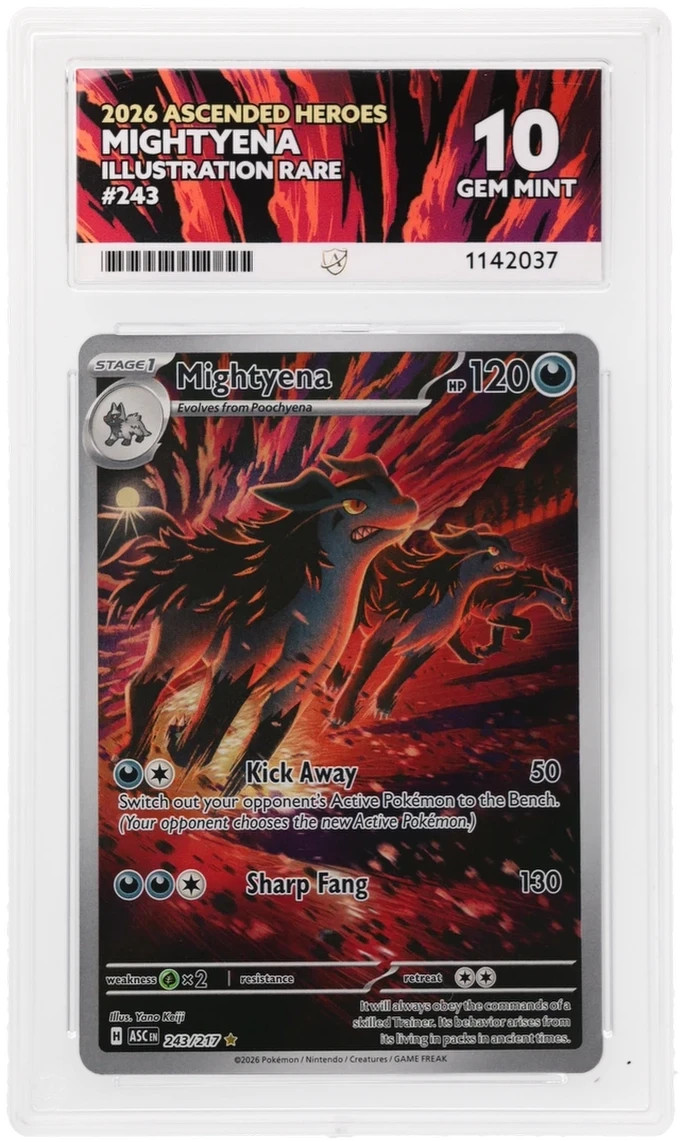 Mightyena 243/217  Ascended Heroes Illustration Rare ACE 10 🐶