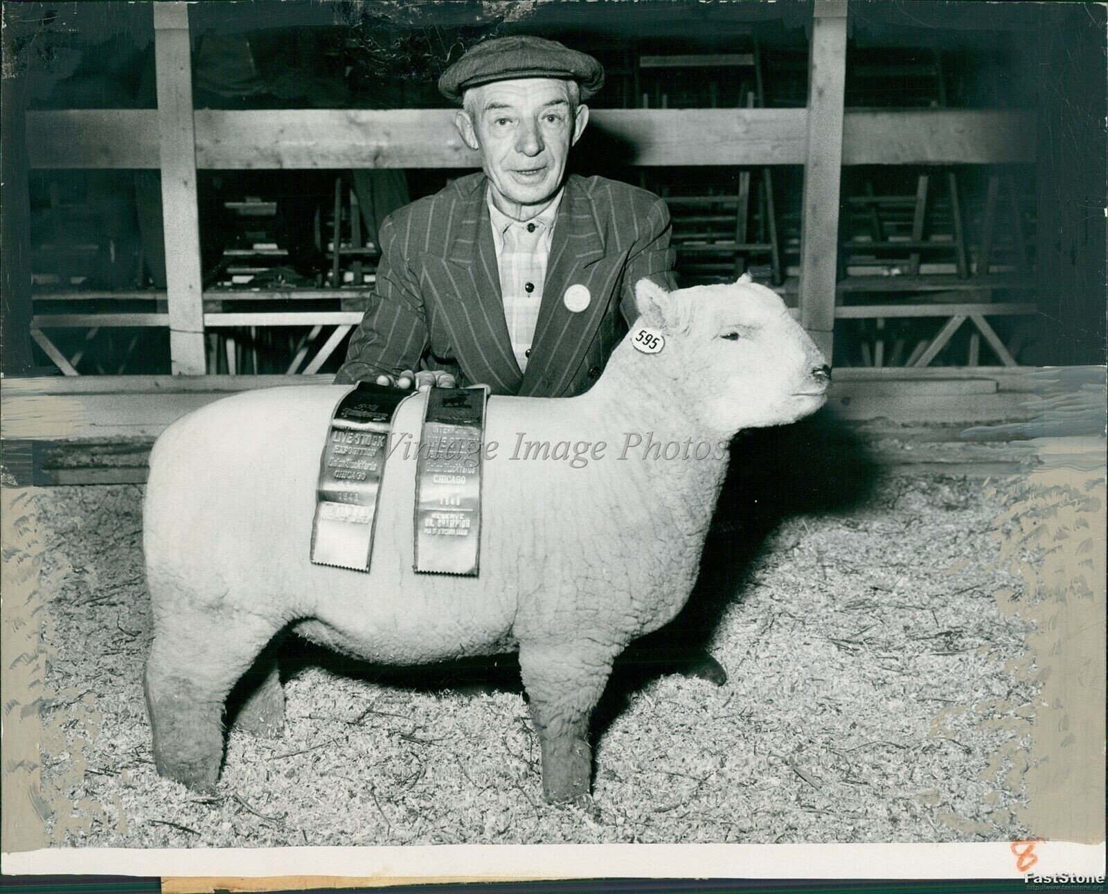 1949 Harold Barber Ky Supreme Grand Champion Lamb Ribbon Animals Photo 7x9