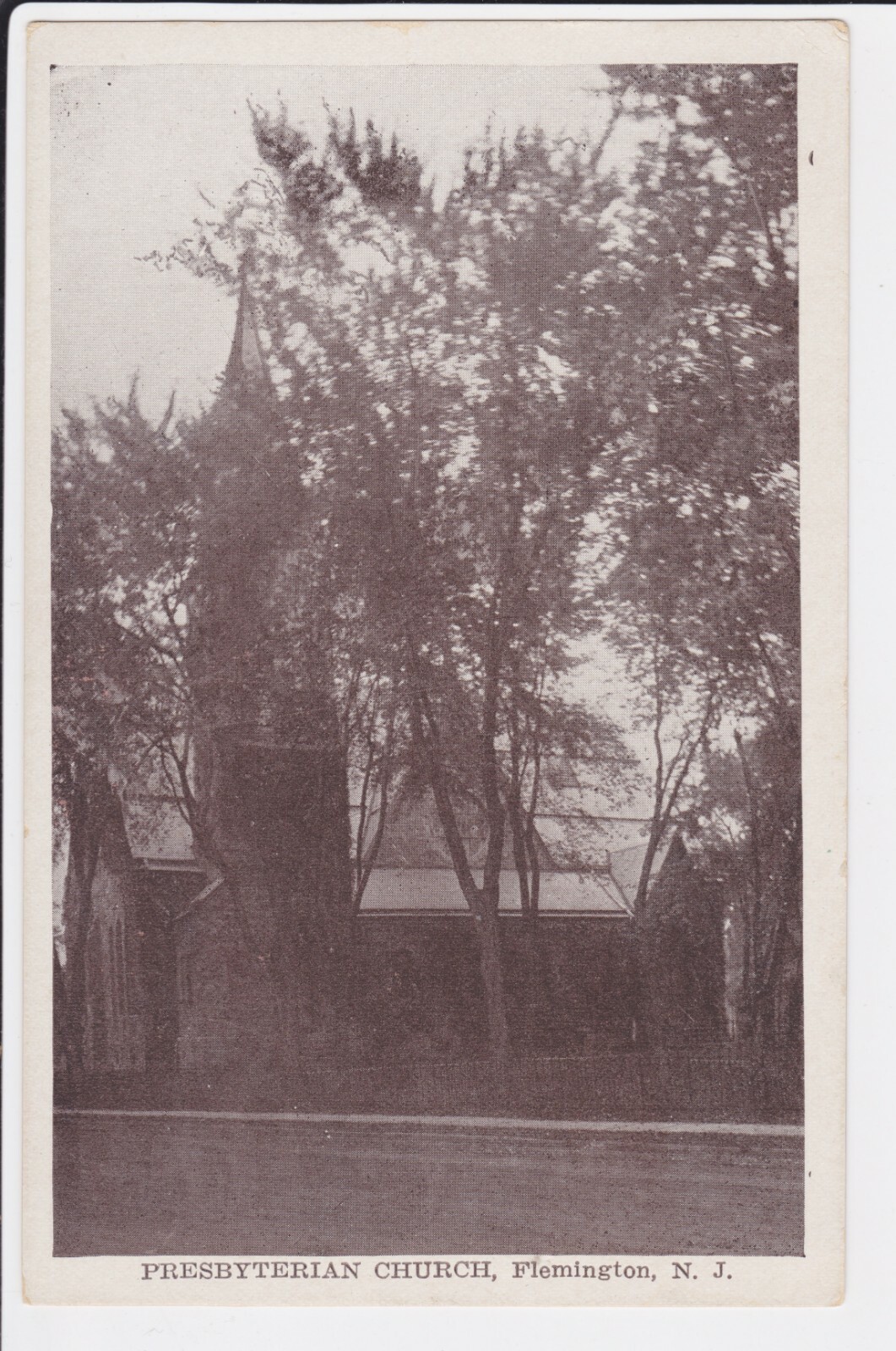 Flemington New Jersey Presbyterian Church tree outdoor NJ view Postcard UNPOSTED