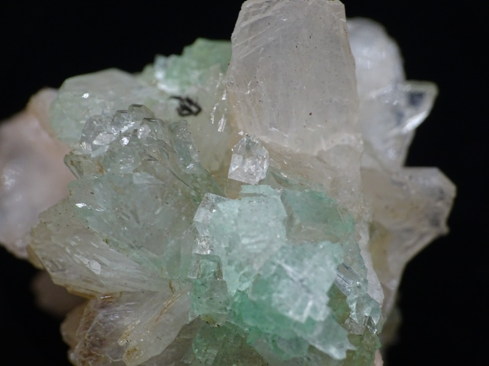 Fluorapophyllite (K) Mint Green Xls. - highly collectable - Maharashtra India