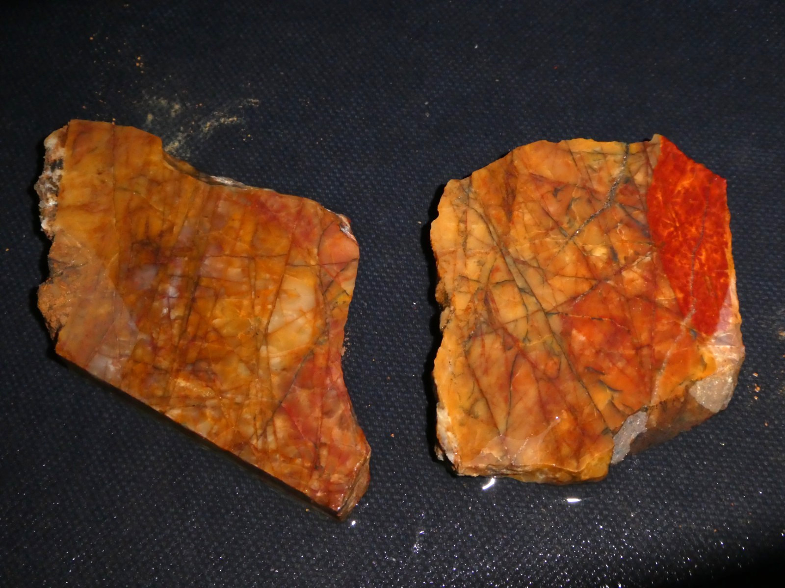 Cherry Creek Jasper 2 small pieces-  rough for cabbing-display, science