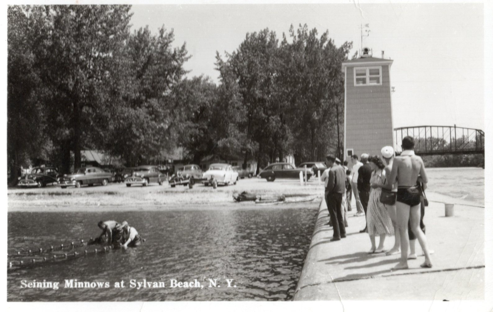 Ca. 1940 Sylvan Beach New York Seining Minnows RPPC Photo Postcard