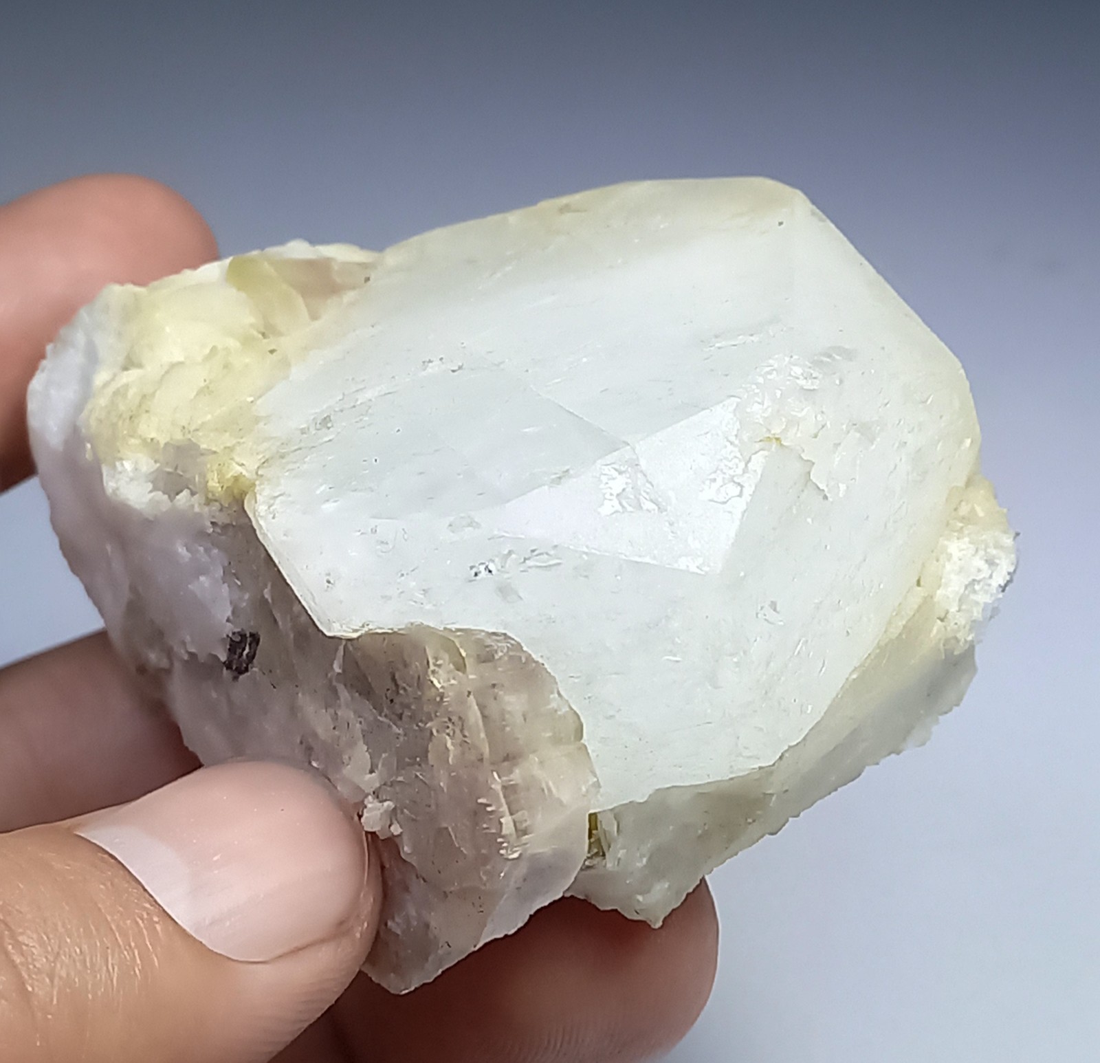 Aesthetic Terminated Rare Combo Goshenite Beryl with Apatite Specimen :162g