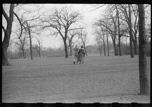Photo:Chicago Illinois 1941 Park Couple Walking Trees FSA Edwin Rosskam