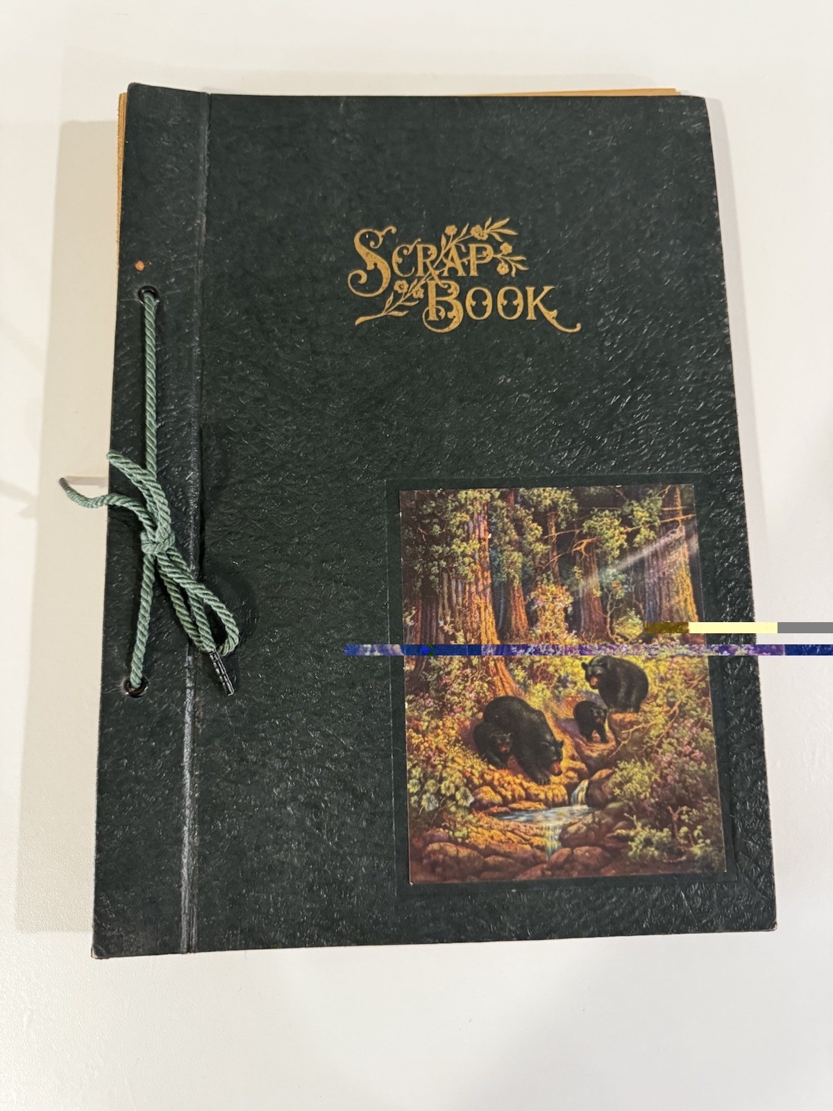 Vintage String Bound Scrapbook Unused 11.5x8.5 Kraft Paper Bear Blank Album