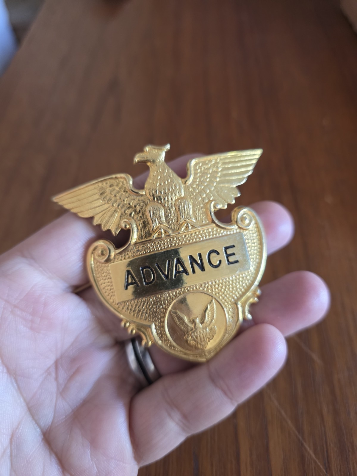 Vintage 50\'s Rare Trucking Trucker Hat Badge Pin Advance Security Eagle 