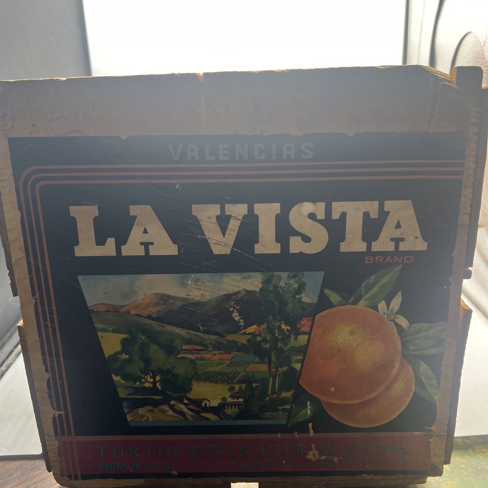 Vintage La Vista Valencias Oranges Wooden Crate W/ Label Tustin CA Divided