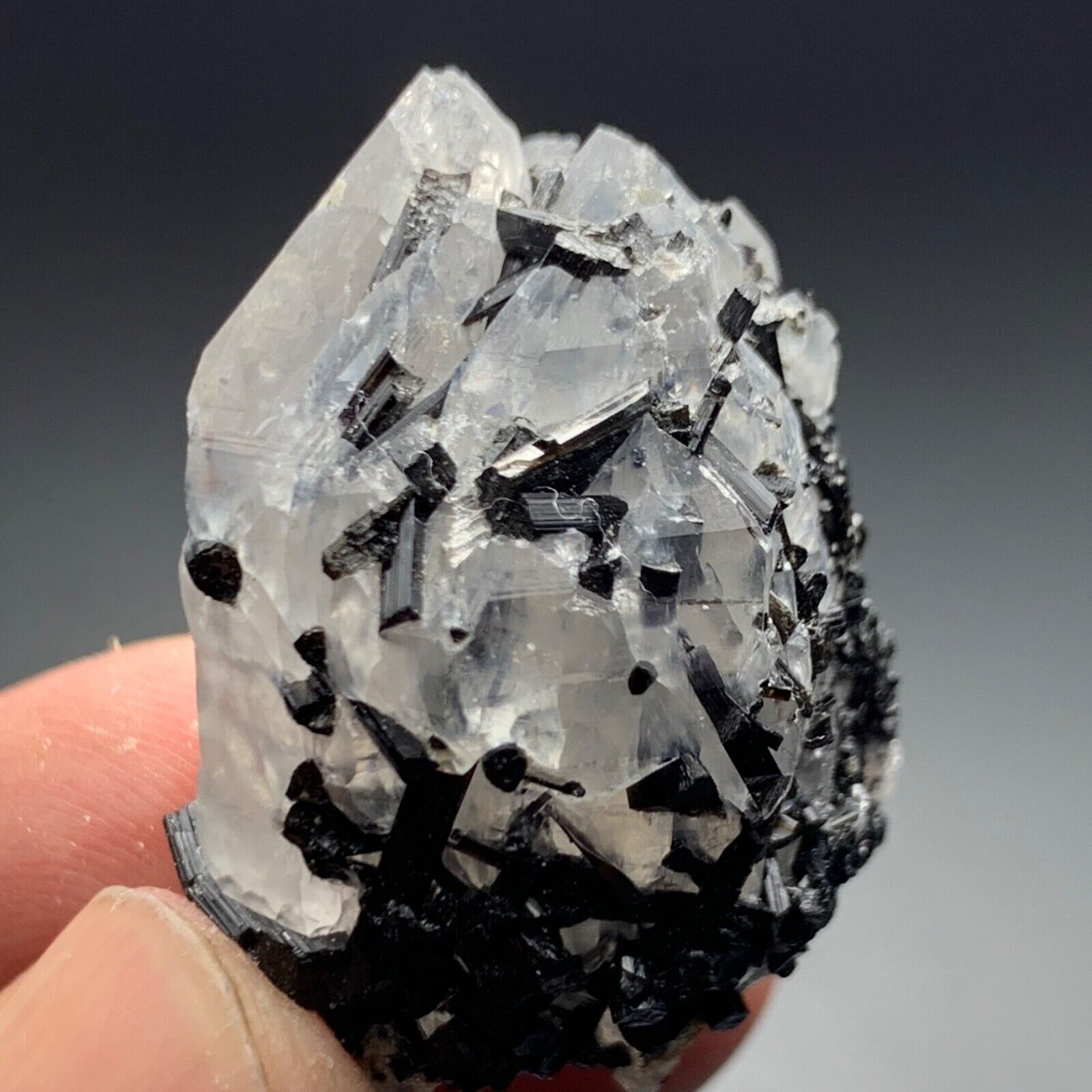 115 Cts Beautiful blackTourmaline Crystal Bunch with quartz from Afghanistan