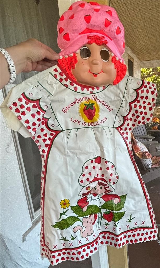 Vintage Ben Cooper Strawberry Shortcake costume mask & Dress American Greetings