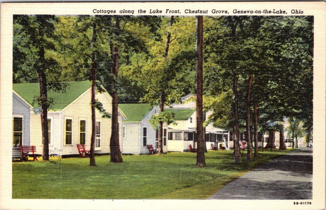 1930-50\'s COTTAGES CHESTNUT GROVE GENEVA on the LAKE OHIO SUMMER CAMP POSTCARD