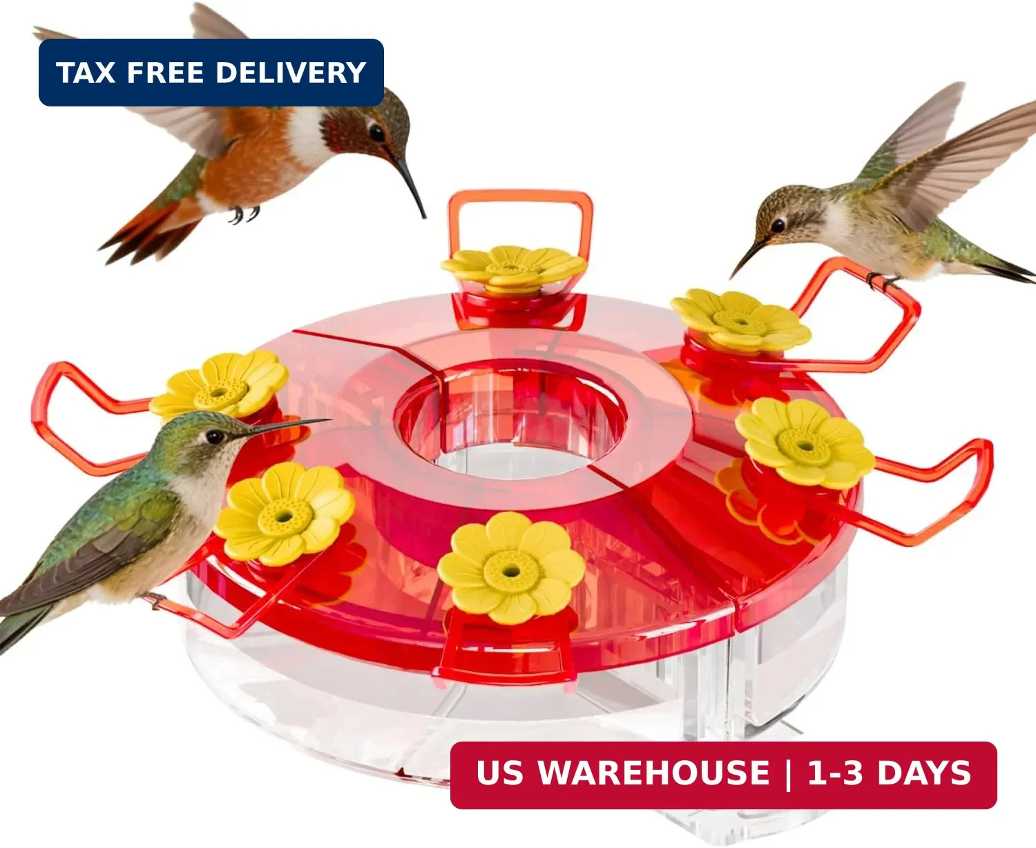 Modular Hummingbird Feeder 6oz 2 Troughs 6 Ports, Clear Plastic | Modul