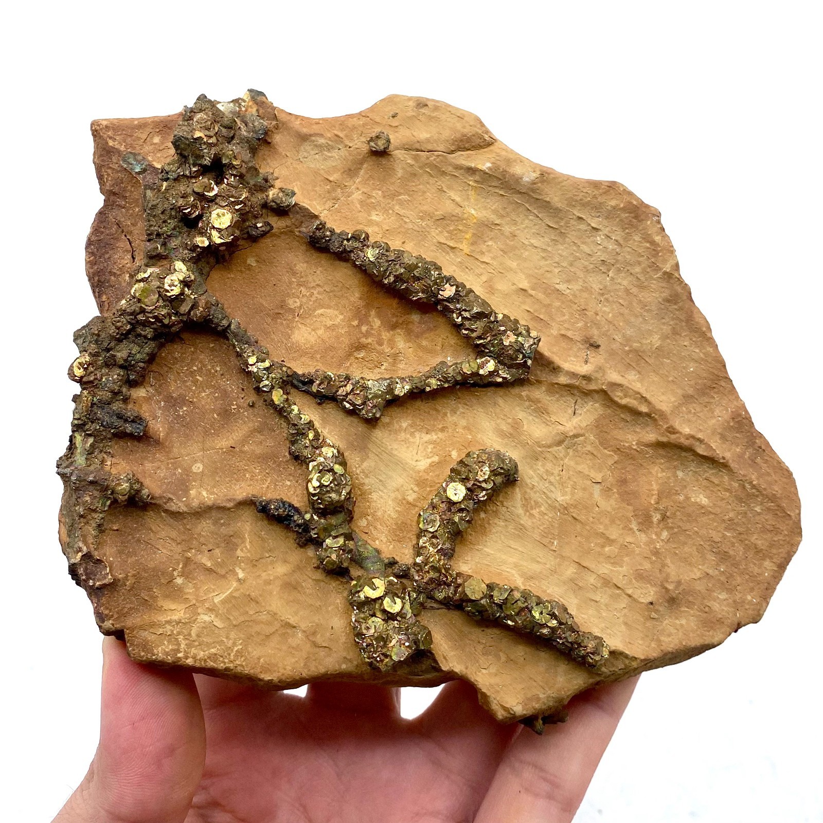 712 Grams Natural Iridescent Pyrite Specimen on Limonite Matrix Pakistan mineral
