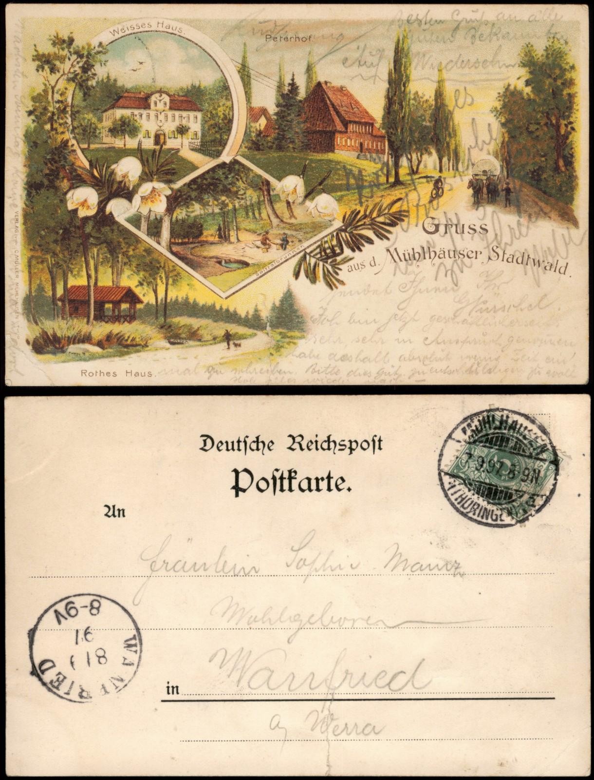 Litho Postcard Mühlhausen (Thuringia) Greeting from... City Forest with Peterhof 1897