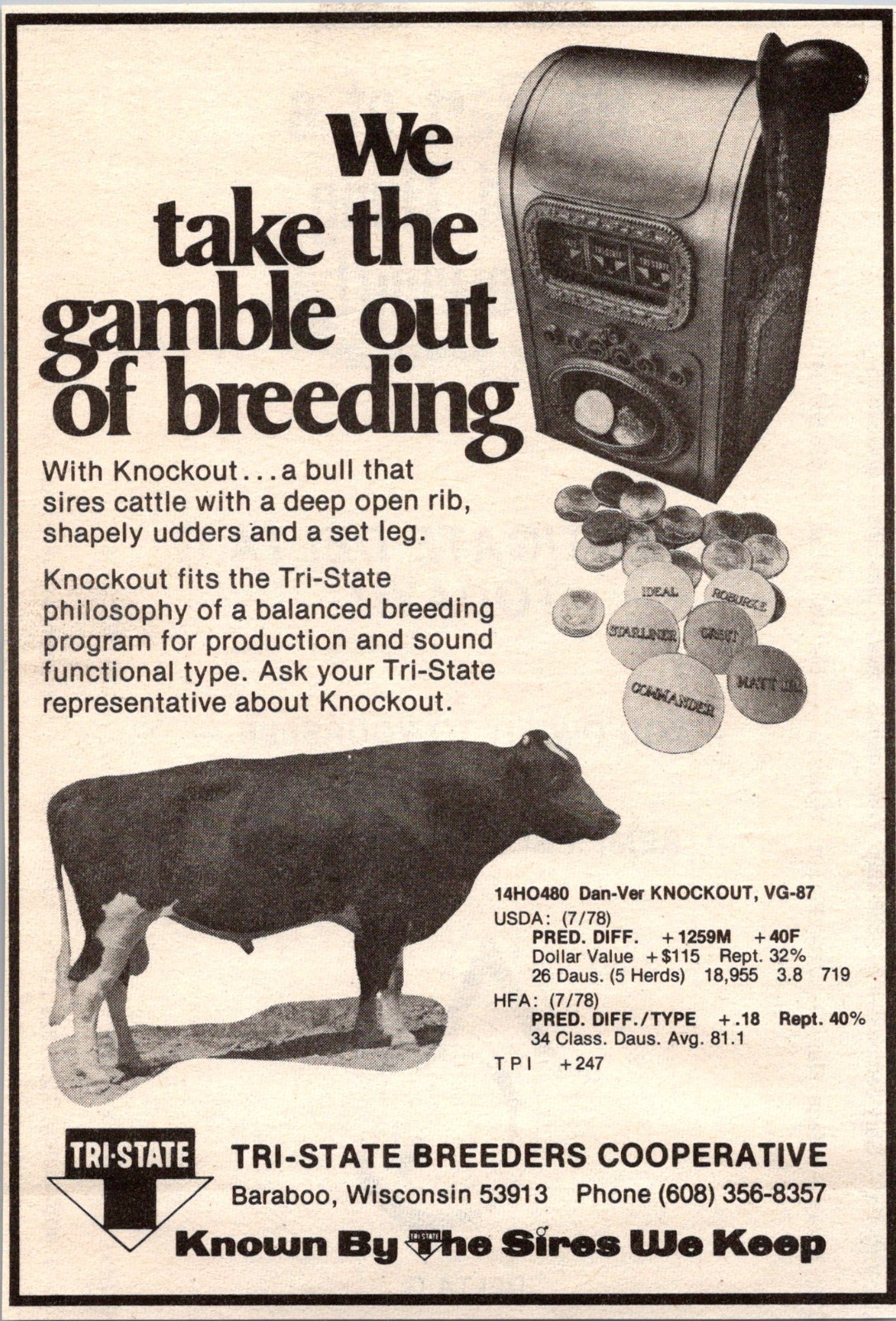 Tri-State Breeders Cooperative Dan-Ver Knockout Baraboo WI 1978 Clipping TAJ5-H2