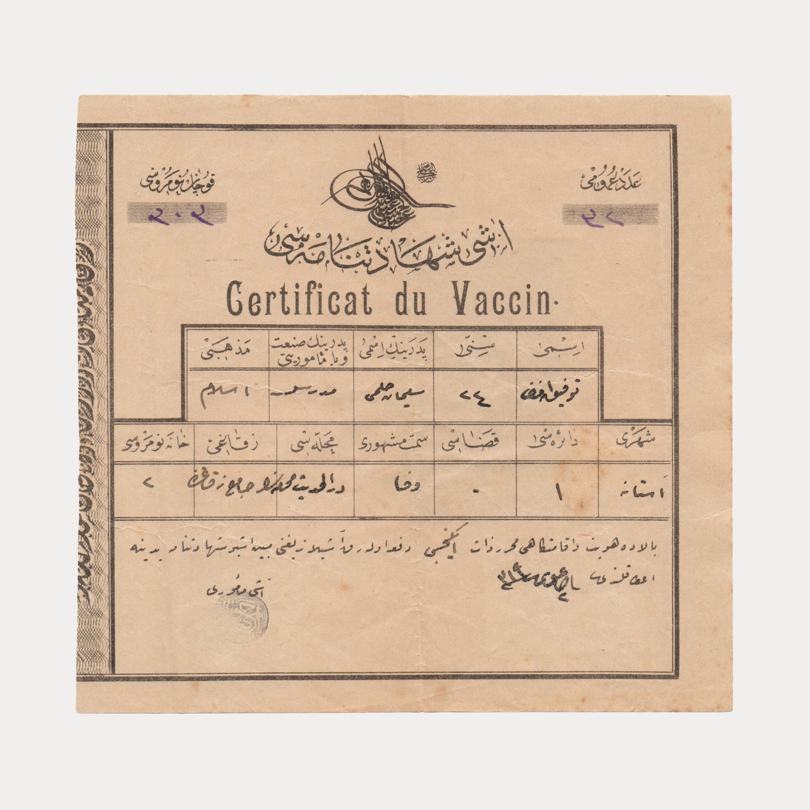 Ottoman Vaccination Certificate Istanbul Constantinople - Hejaz Railway Stamp