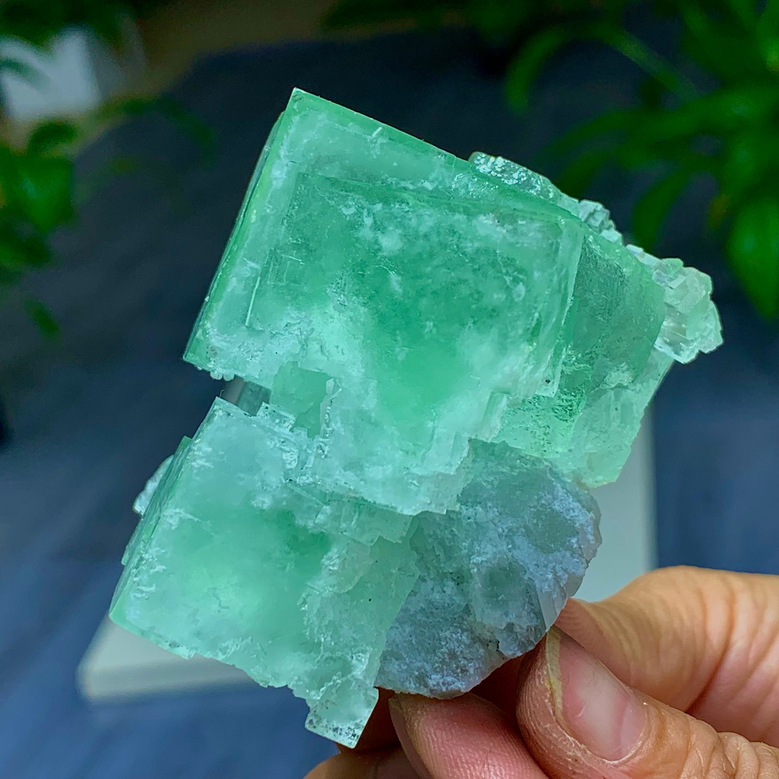 226G ﻿Natural apple green fluorite crystal mineral specimen Xianghualing