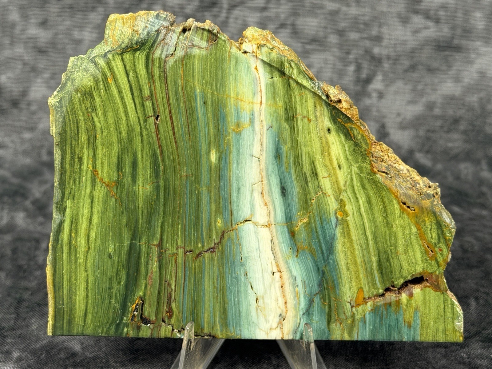 Beautiful Larsonite(Gary Green, Freedom) Jasper Bogwood Slab, lot#964