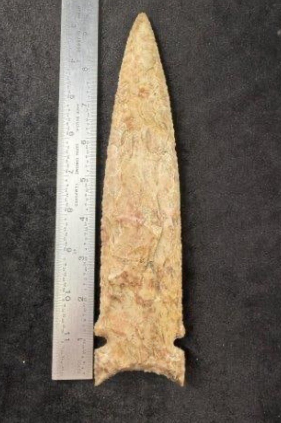 Price Cut ---- 9 1/2 INCH SPEAR