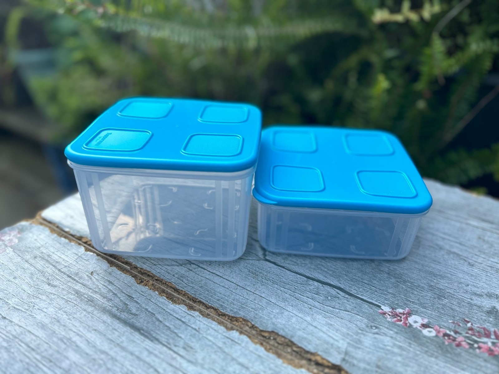 Tupperware Beautiful Bright square Clear Mates Set of 2 - choose Color