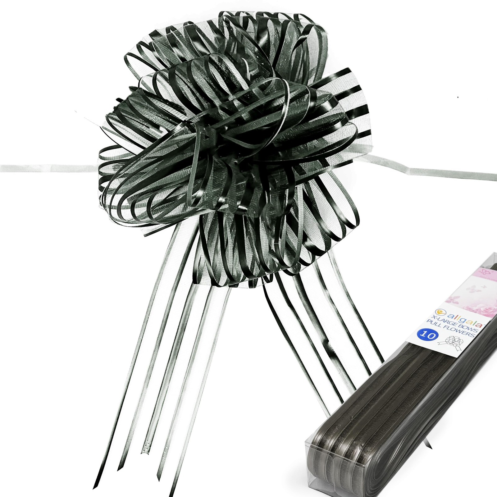 Allgala 10pc 7\