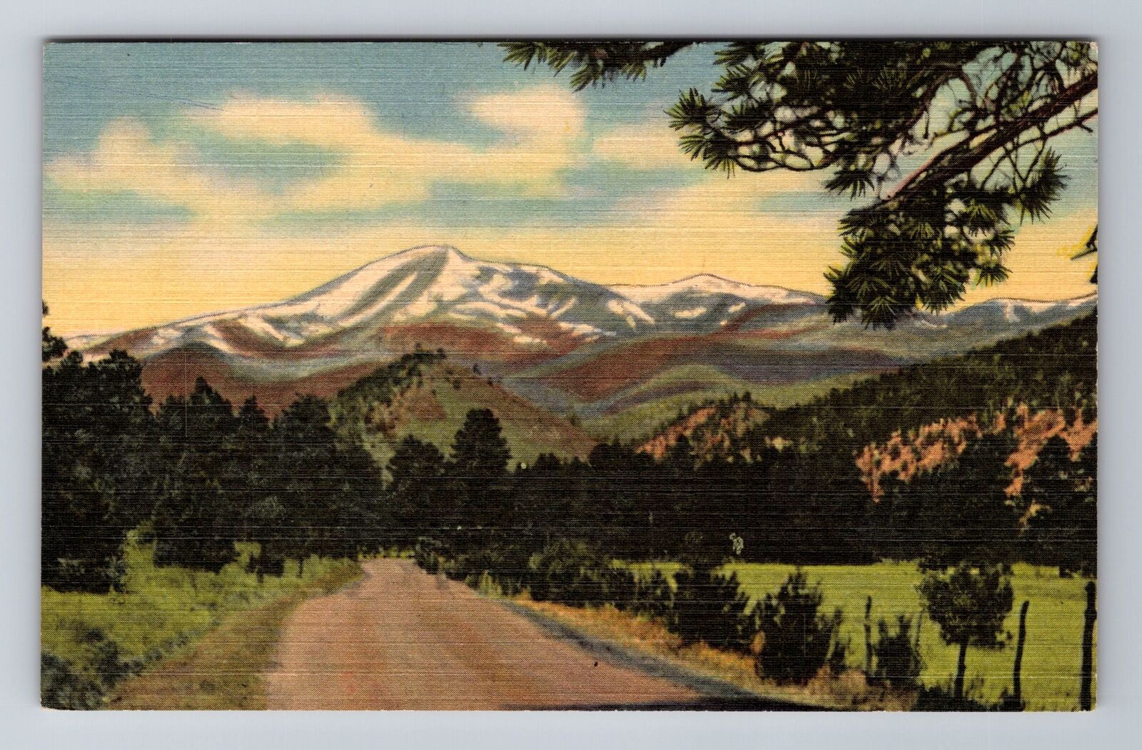 White Mountain NM-New Mexico, Ruidoso Highway, Vintage Souvenir Postcard