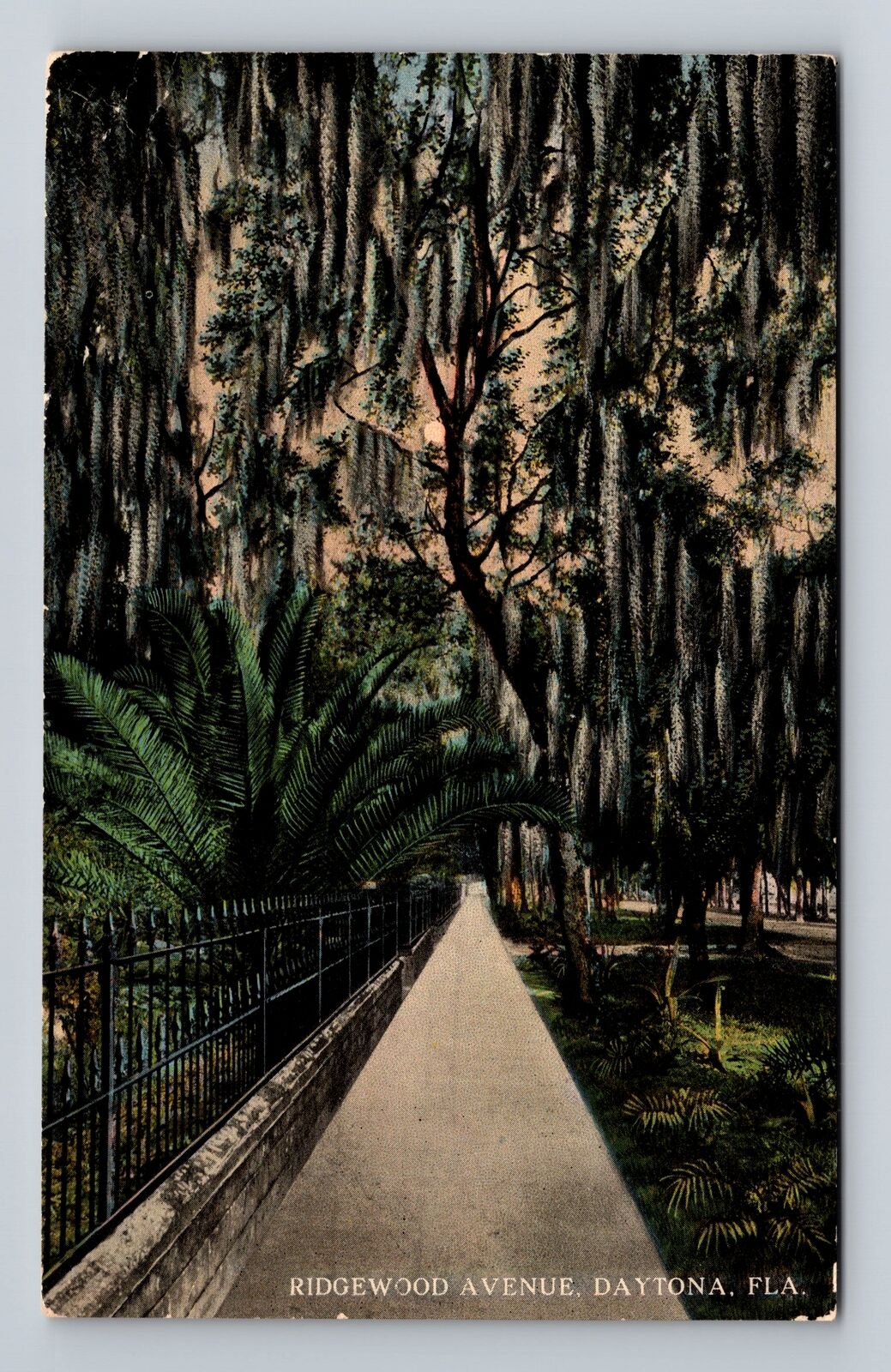 Daytona FL-Florida, Ridgewood Avenue, Antique, Vintage Postcard