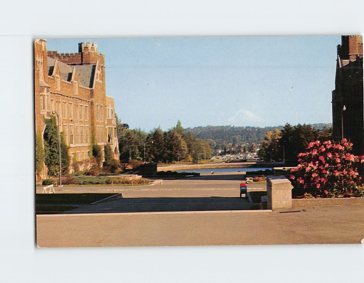 Postcard Mt. Rainier from Rainier Vista University of Washington Seattle WA USA