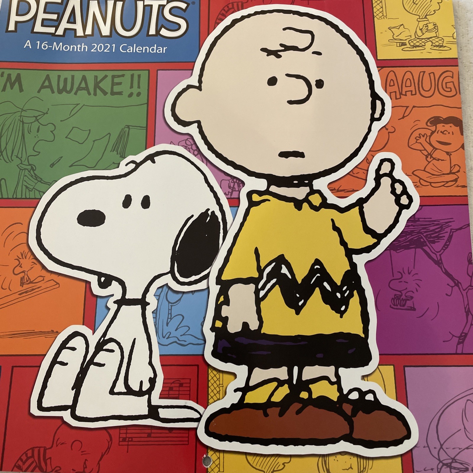Peanuts 2021 Wall Calendar Snoopy Charlie Brown 16 Month Calendar New 