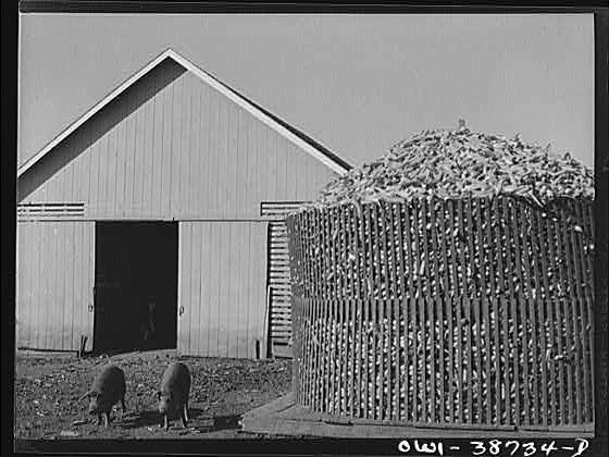 Photo:Farm Building Corn Crib 1900s Rural Agricultural Photograph