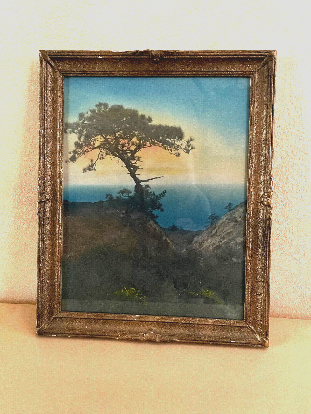 Antique Photograph Hand Tint Torrey Pine LaJolla CA Hand Carved Frame 13x16 1/4