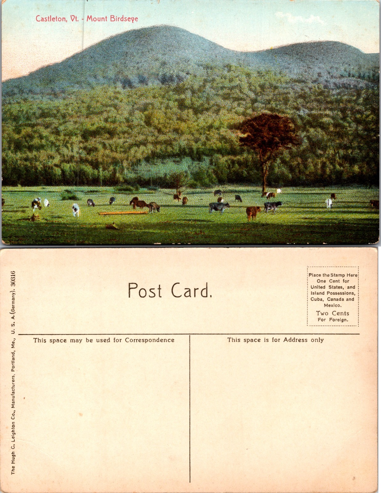 Mount Birdseye Castleton Vermont Postcard