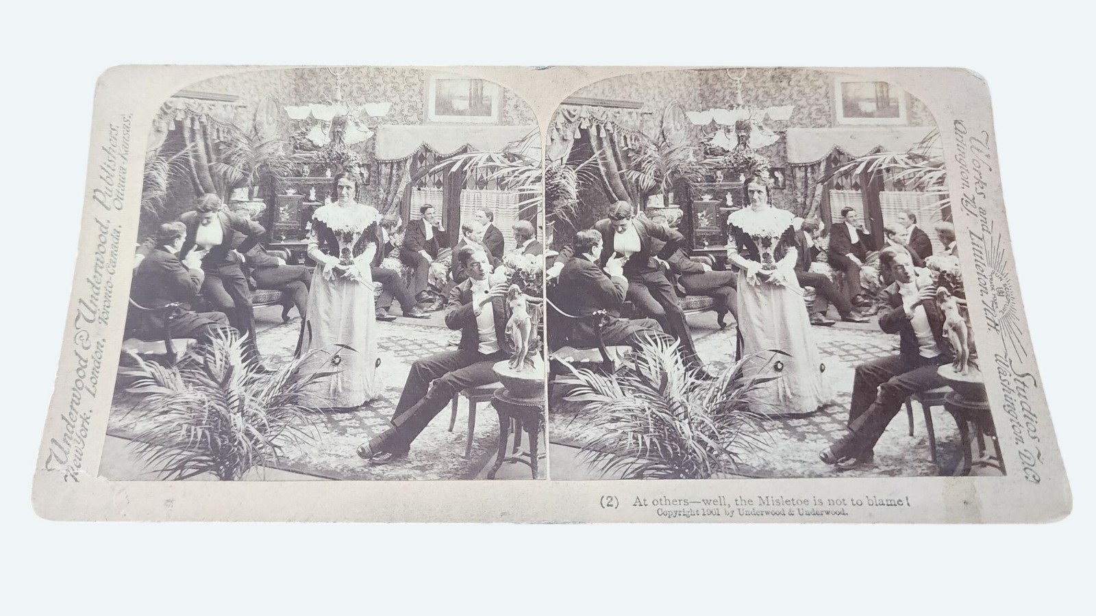 Antique 1901 Underwood Stereoview At Others-Well The Mistletoe Is Not To Blame Antique 1901 Underwood Stereoview At Others-Well The Mistletoe Is Not To Blame