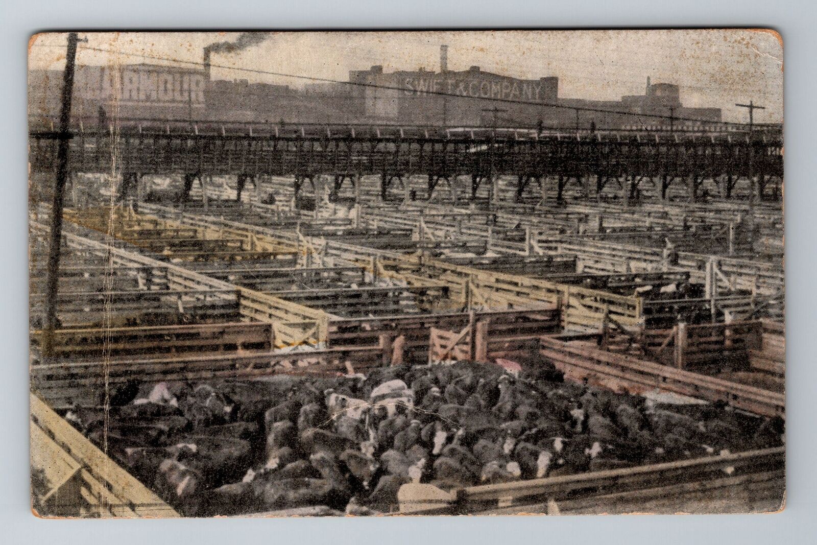 Chicago IL-Illinois, Union Stock Yard, Antique Vintage Souvenir Postcard