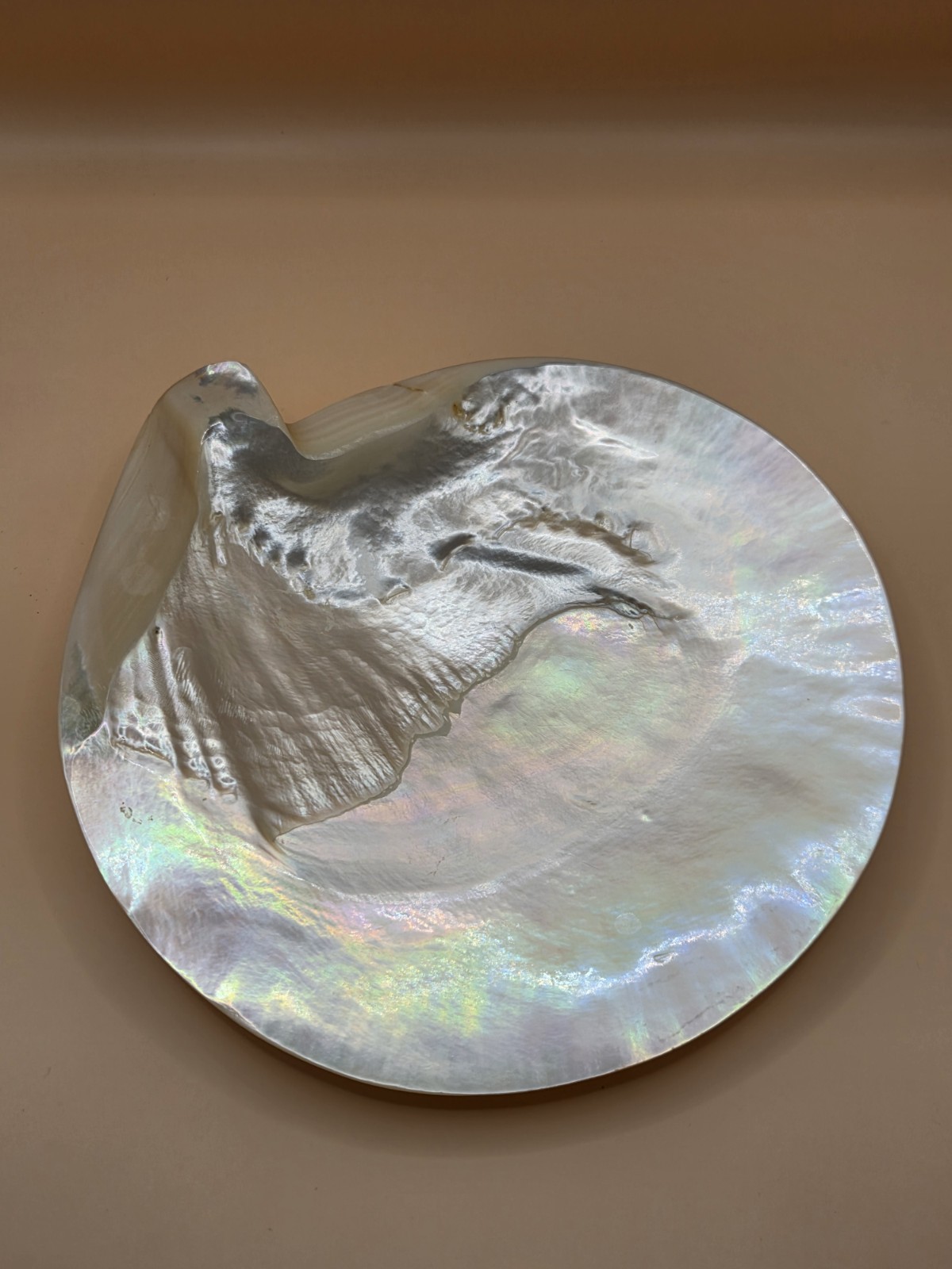 Vintage Exquisite Natural Mother of Pearl Shell Footed Caviar Serving Dish READ