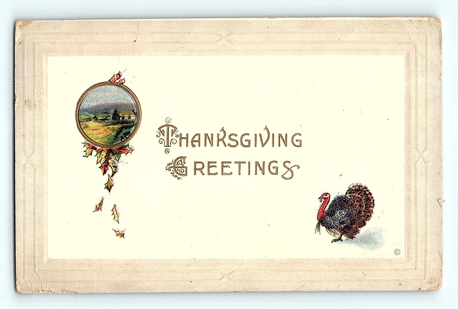 Thanksgiving Greetings Turkey and Porthole Country Scene with Leaves Postcard E4
