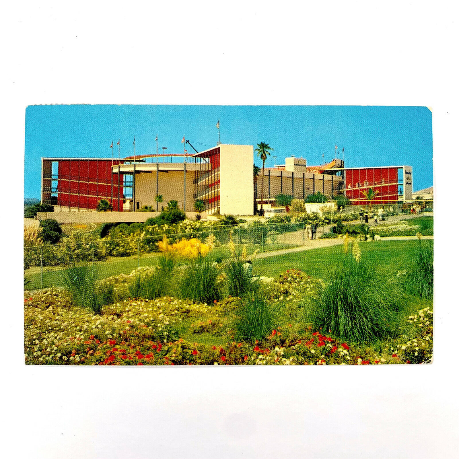 Postcard California San Pedro CA Redondo Beach Marineland 1964 Posted Chrome
