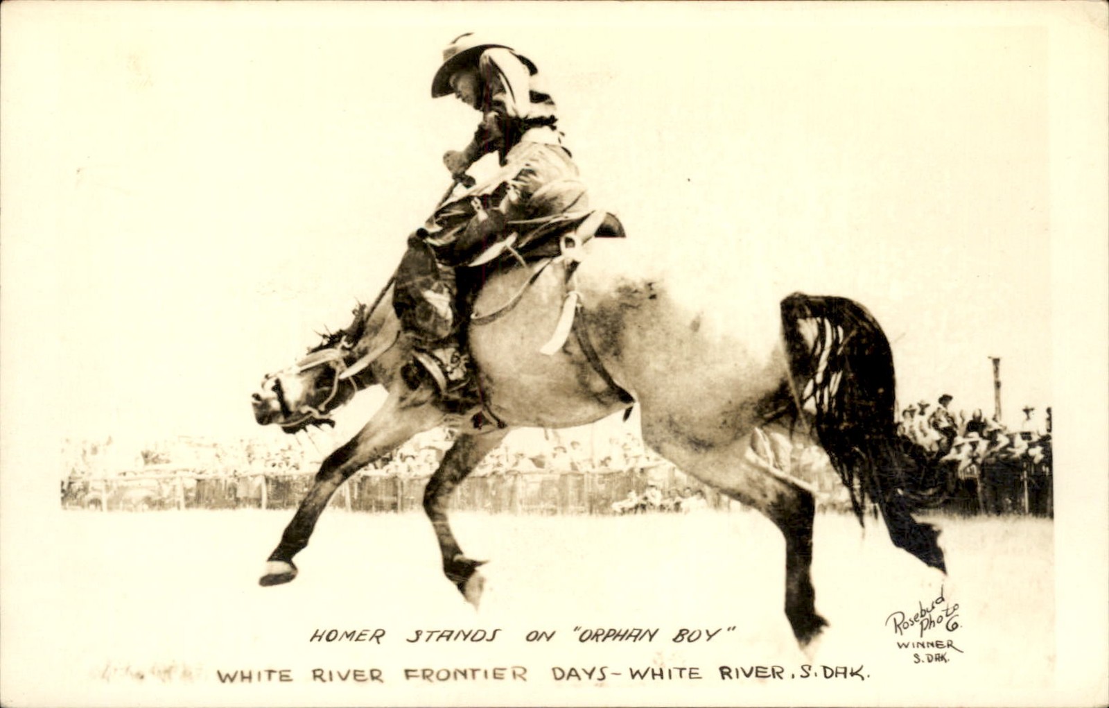 White River SD Rodeo Homer Stands Orphan Boy Rosebud Real Photo Postcard bhn