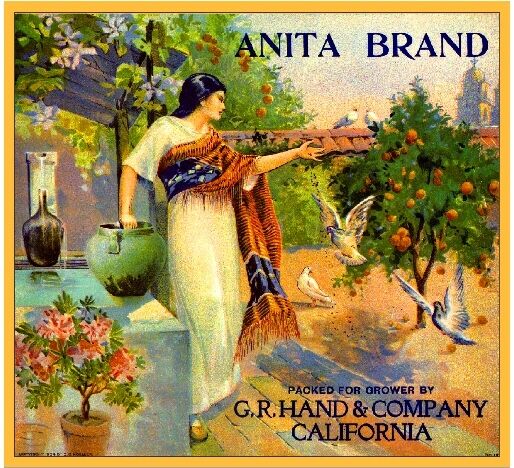 Riverside Anita Spanish Girl Birds Orange Citrus Fruit Crate Label Art Print