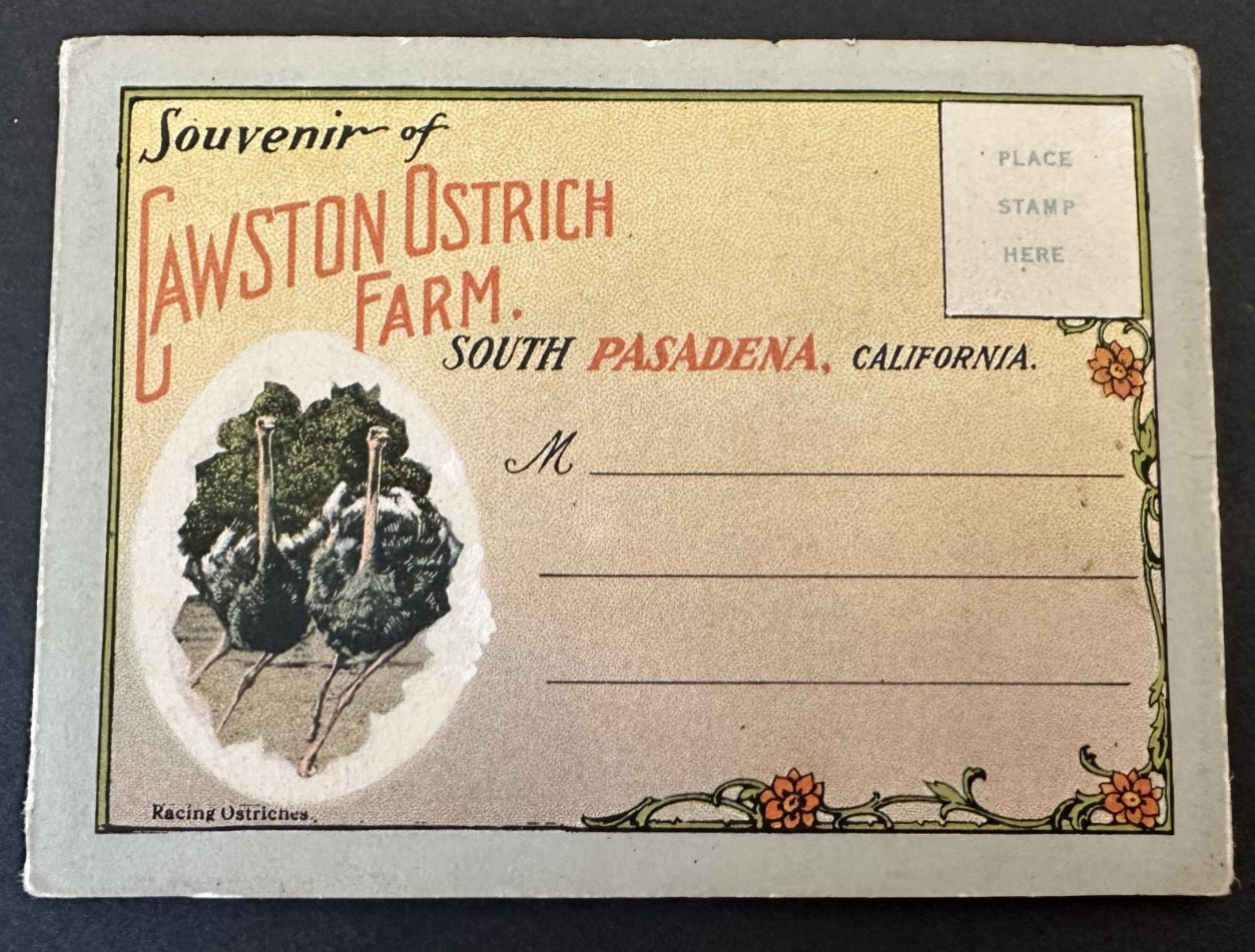Cawston Ostrich Farm Pasadena CA souvenir photo booklet VTG feathers 1920s PC