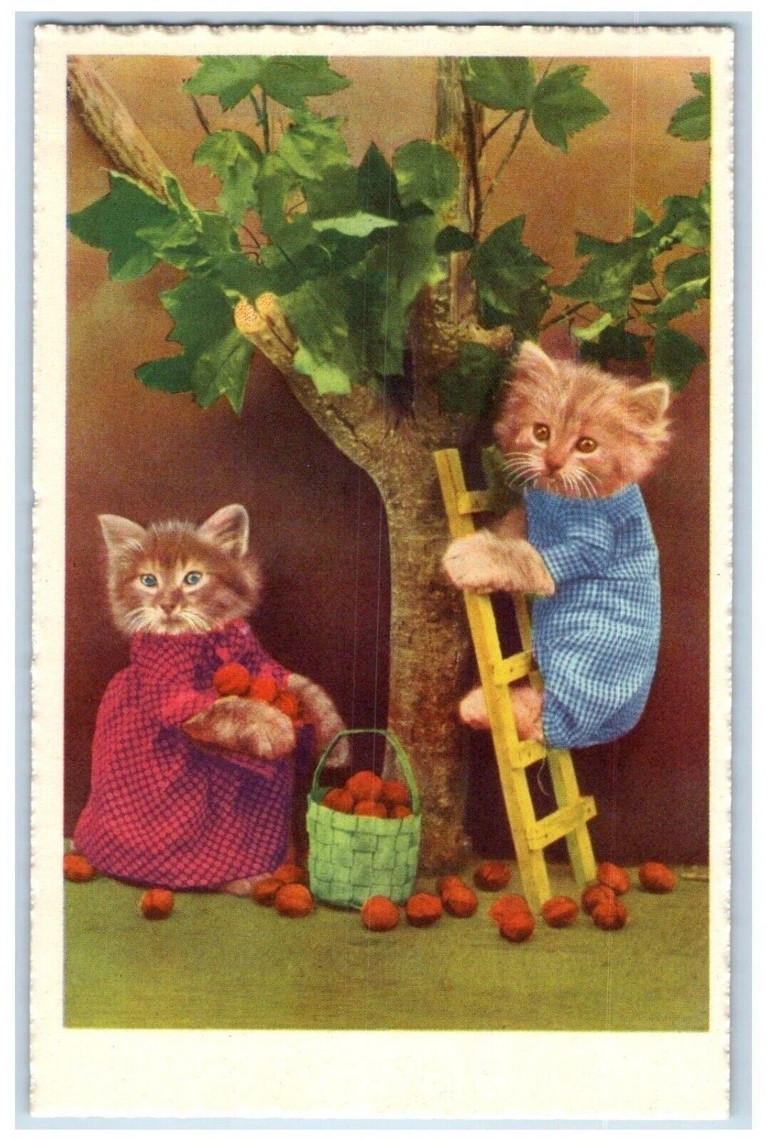 c1910\'s Anthropomorphic Cute Cat Climbing Tree Ladder Harvesting Apple Postcard