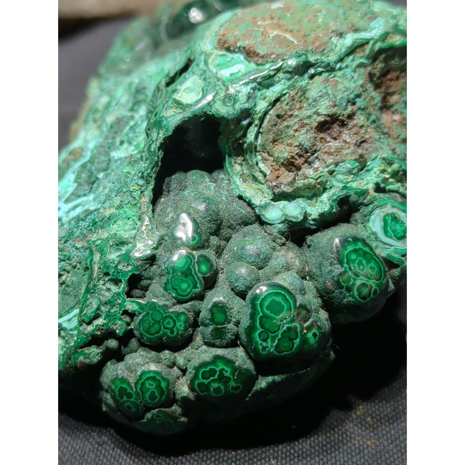 Malachite w/ Chrysocolla Polished Free Form Specimen (11.6oz)
